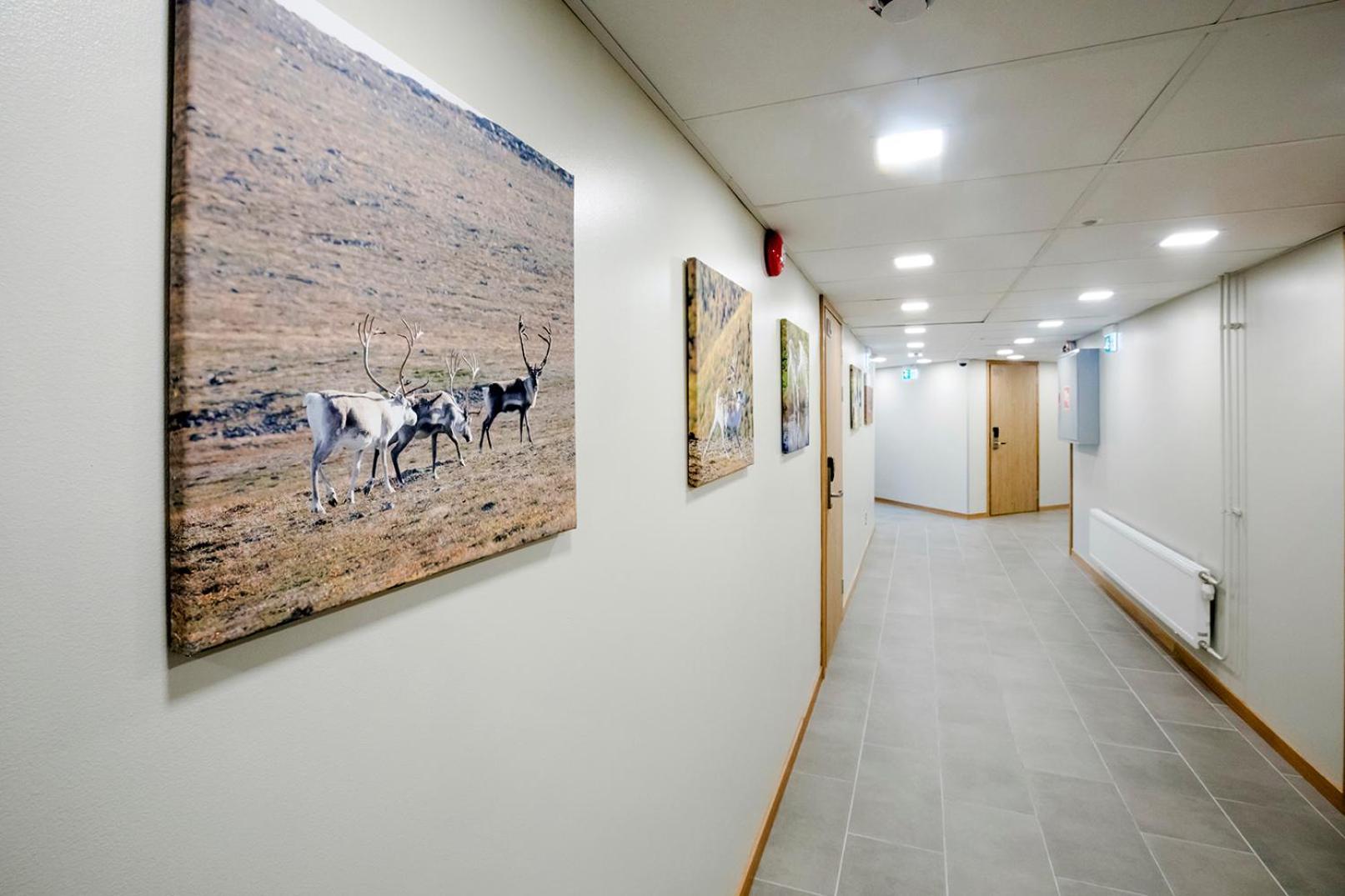Hostel Toivola 케미 외부 사진